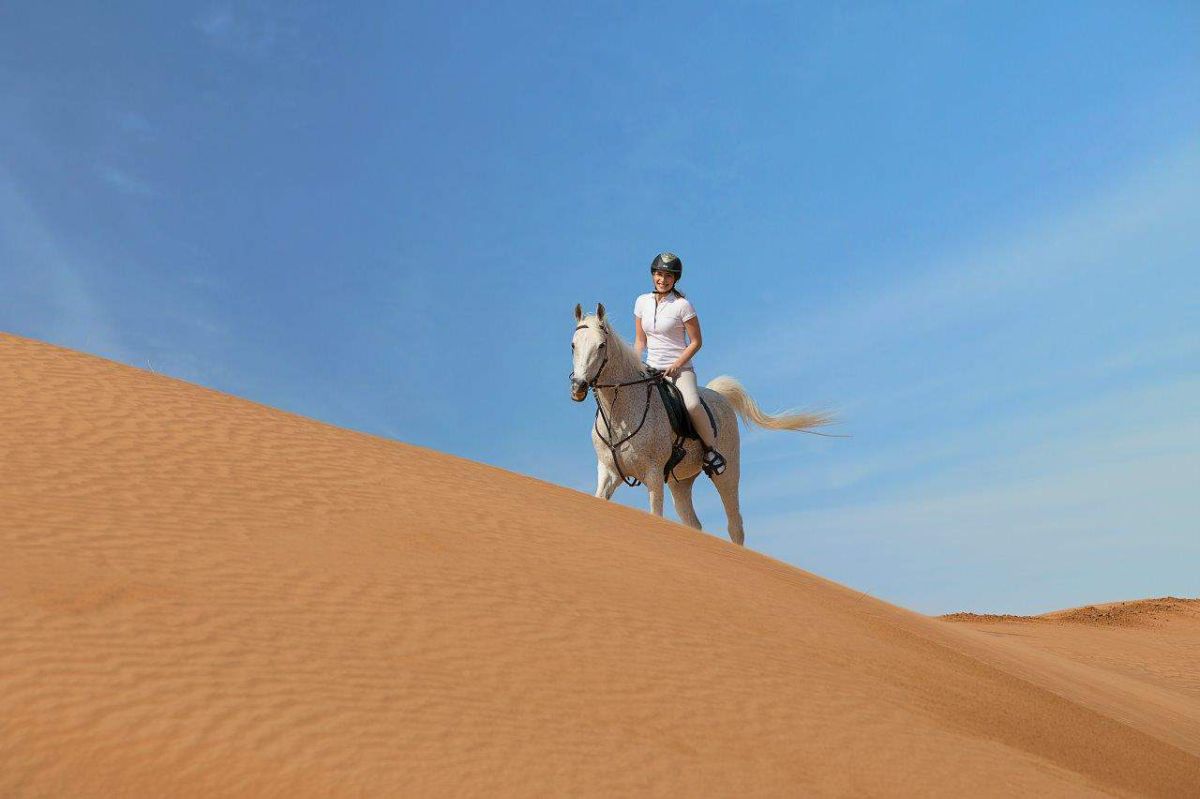 Horse Riding by the Sea – Discover Essaouira on Horseback