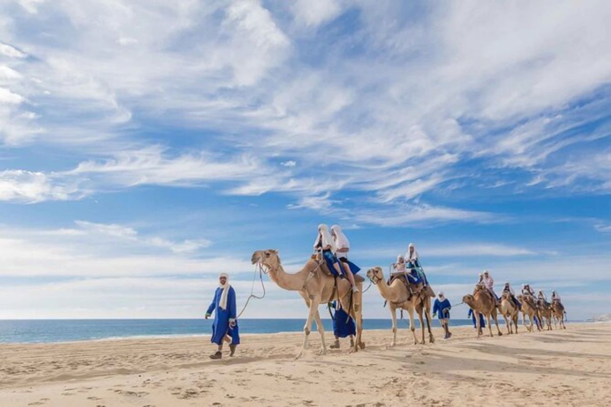Camel Ride by the Ocean